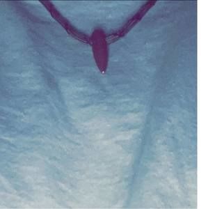 Meet your Posher, Jeremy